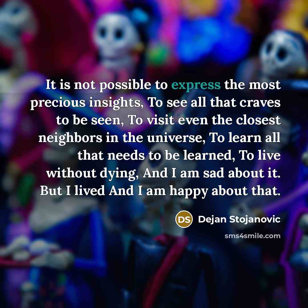 “It is not possible to express the most precious insights,…” quote by Dejan Stojanovic