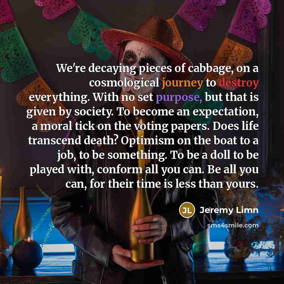 “We're decaying pieces of cabbage, on a cosmological journey to…” quote by Jeremy Limn