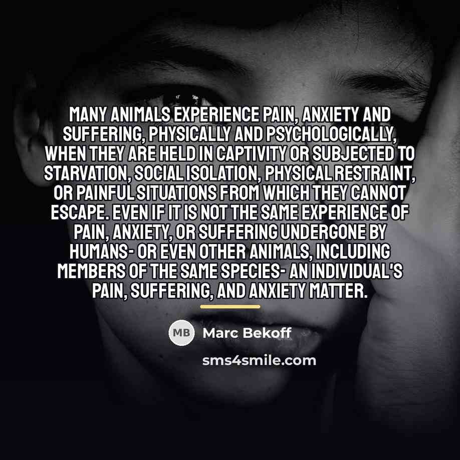 “Many animals experience pain, anxiety and suffering, physically and psychologically,…” quote by Marc Bekoff