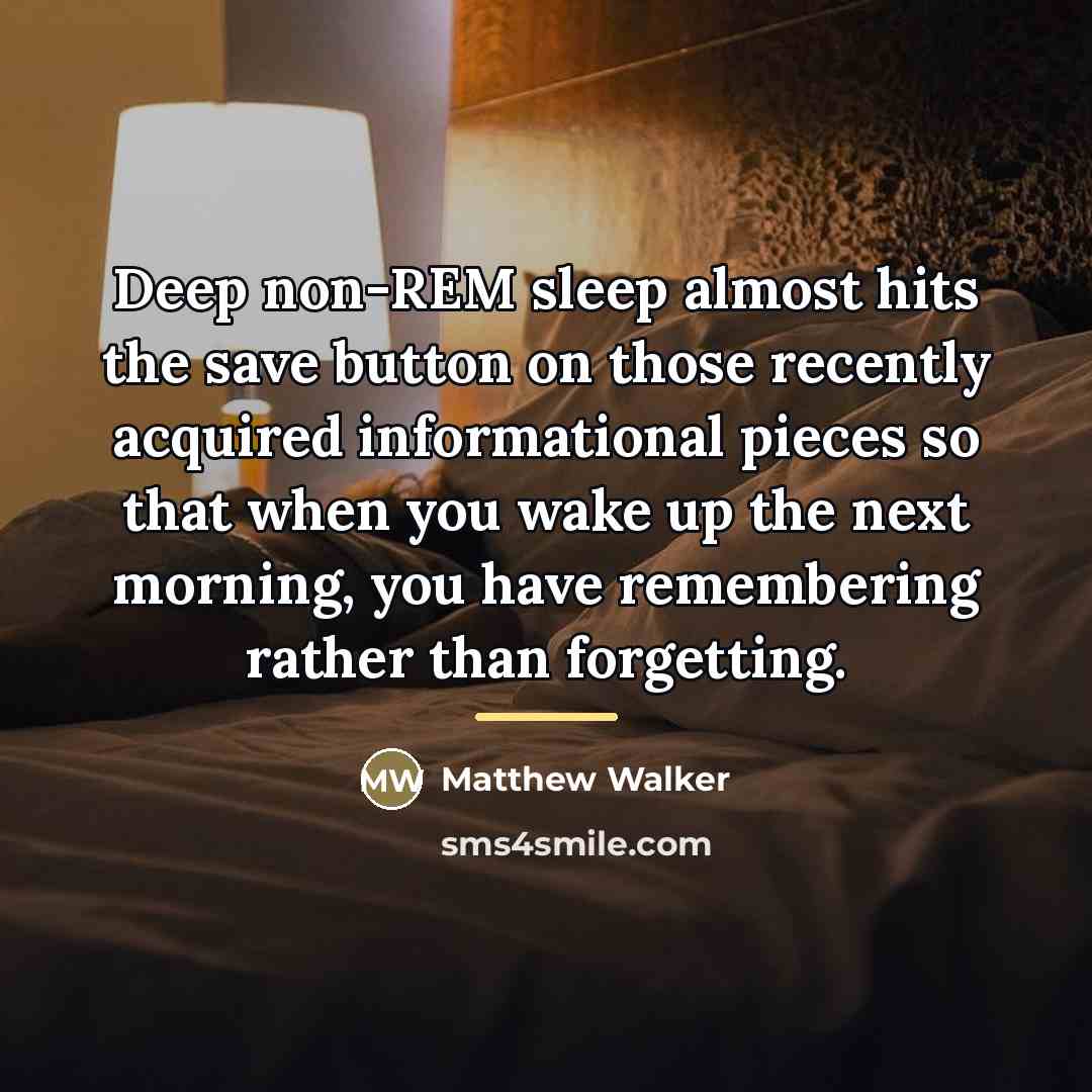 “Deep non-REM sleep almost hits the save button on those…” quote by Matthew Walker