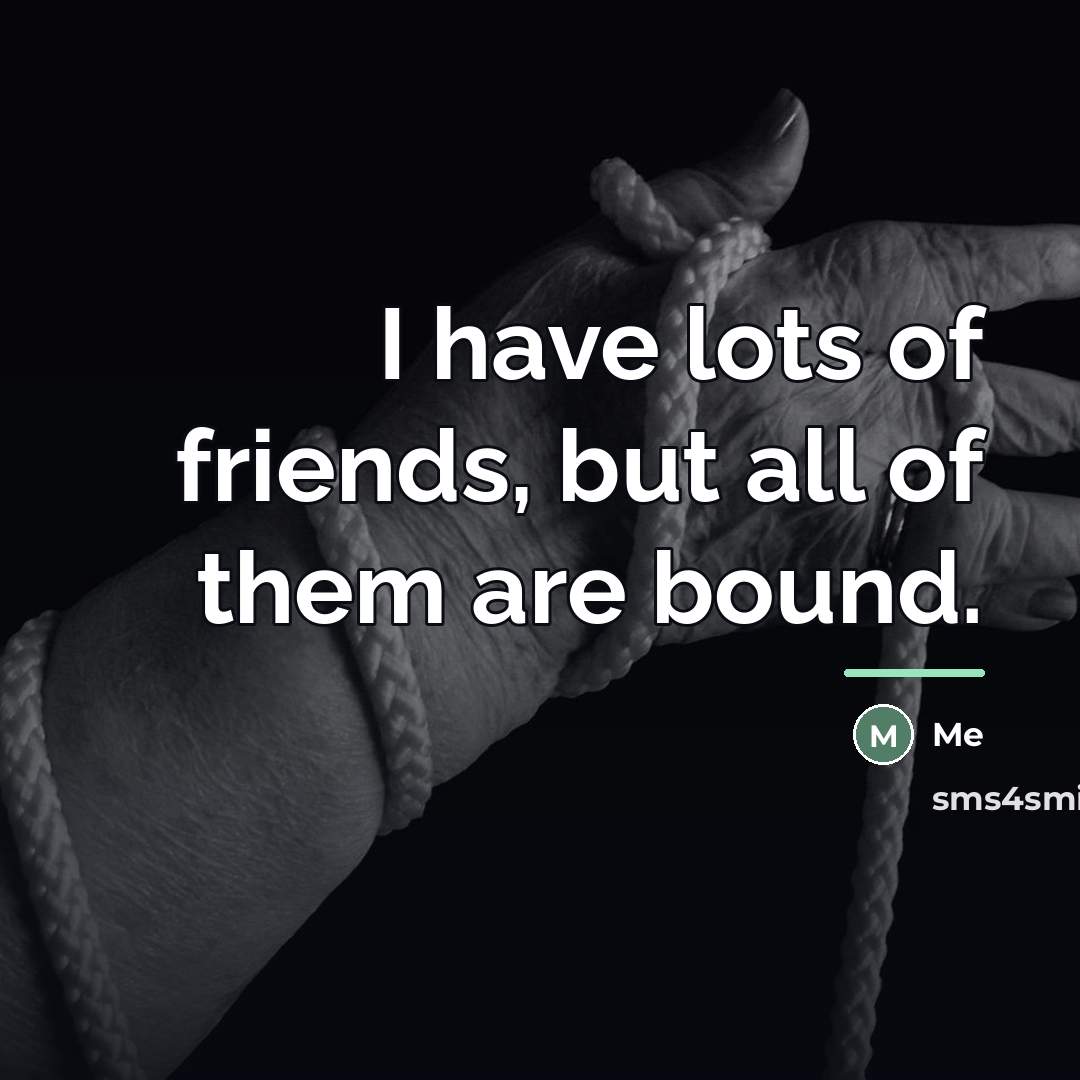 “I have lots of friends, but all of them are…” quote by Me