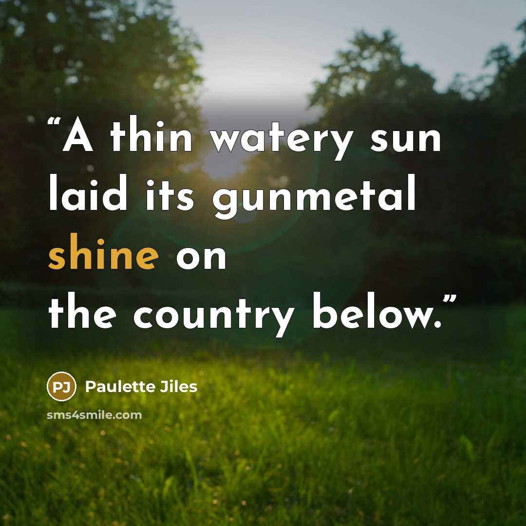 “A thin watery sun laid its gunmetal shine on the country below.” quote by Paulette Jiles