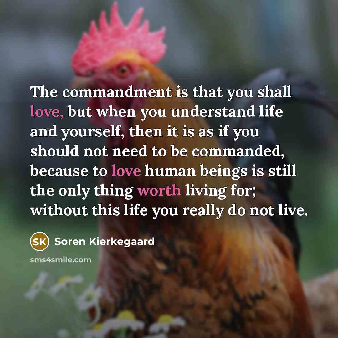 “The commandment is that you shall love, but when you understand life and yourself, then it is as if you should not need to be commanded, because to love human beings is still the only thing worth living for; without this life you really do not live.” quote by Soren Kierkegaard
