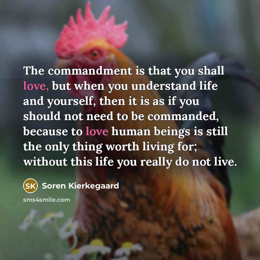 “The commandment is that you shall love, but when you…” quote by Soren Kierkegaard