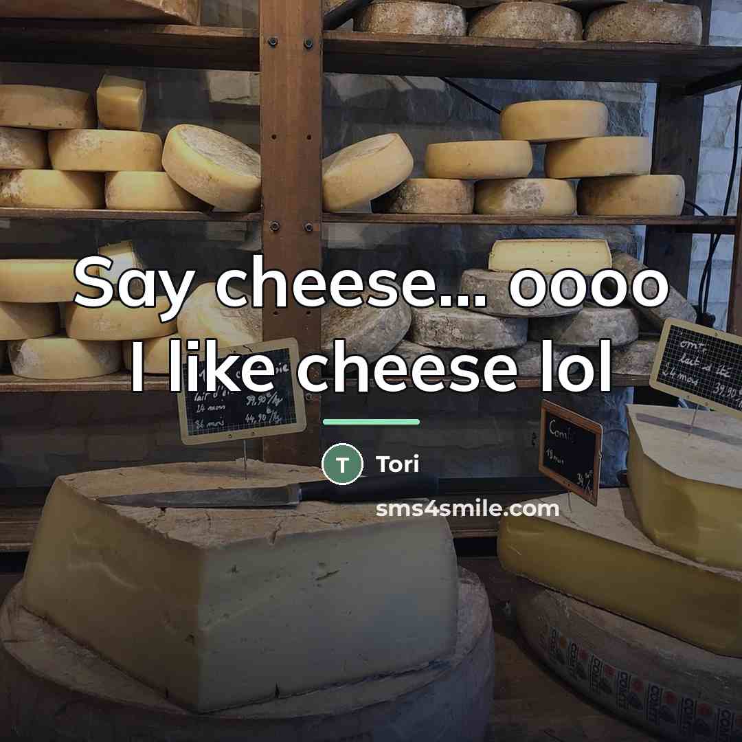 “Say cheese... oooo I like cheese lol…” quote by Tori