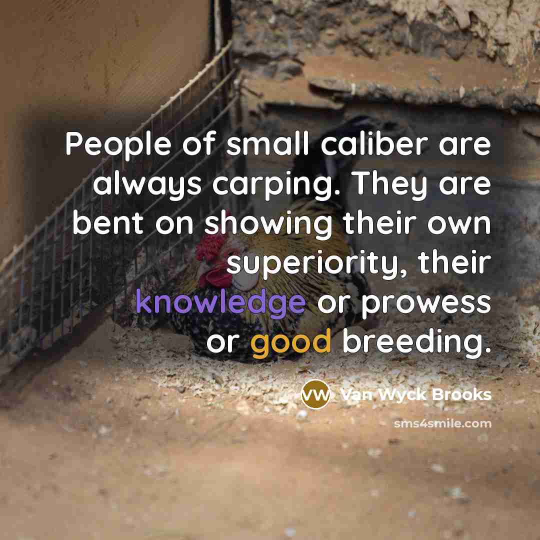 “People of small caliber are always carping. They are bent…” quote by Van Wyck Brooks