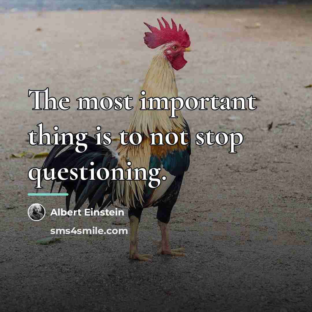 “The most important thing is to not stop questioning.…” quote by Albert Einstein