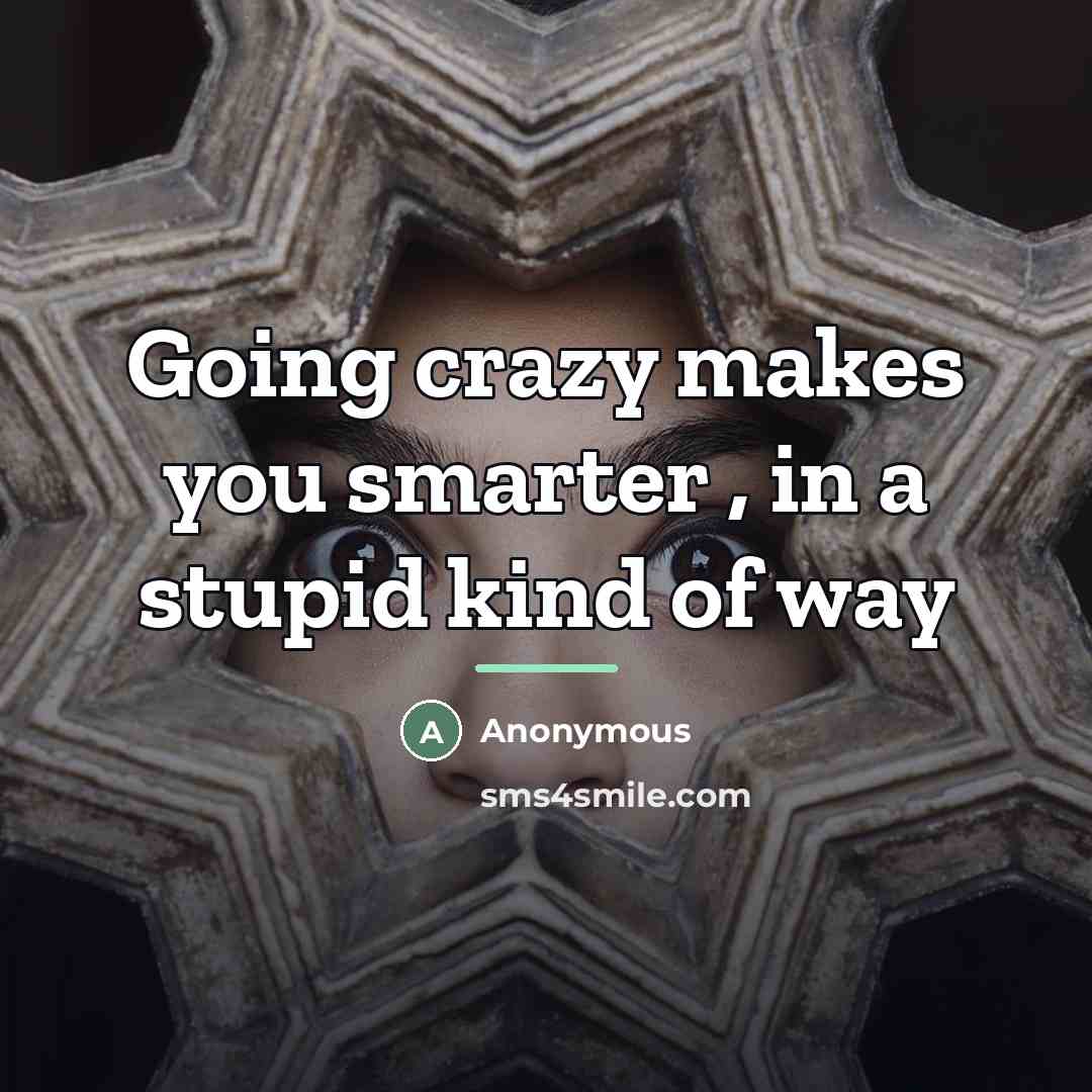 “Going crazy makes you smarter , in a stupid kind…” quote by Anonymous
