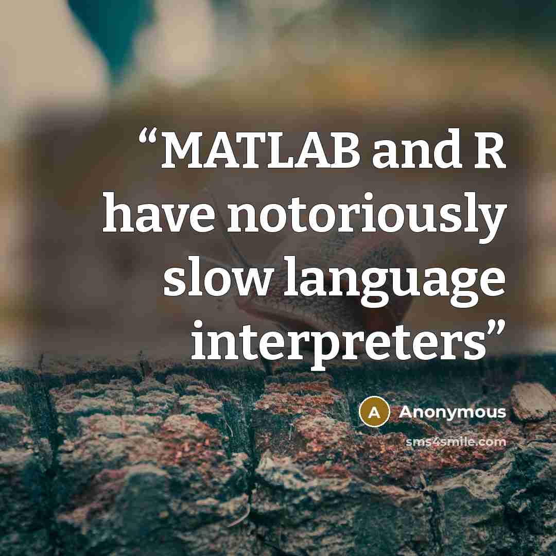 “MATLAB and R have notoriously slow language interpreters” quote by Anonymous