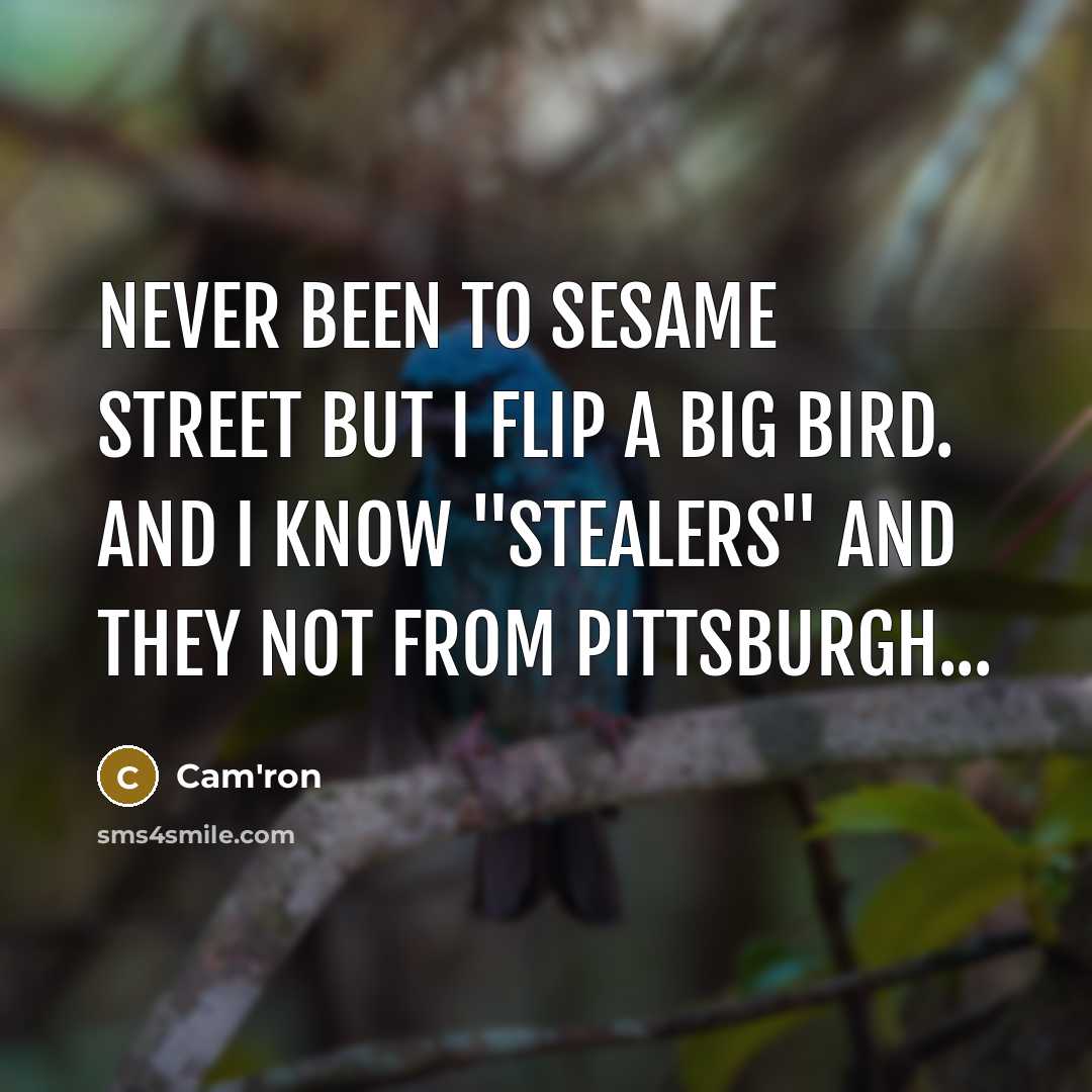 “Never been to Sesame Street but I flip a Big…” quote by Cam'ron