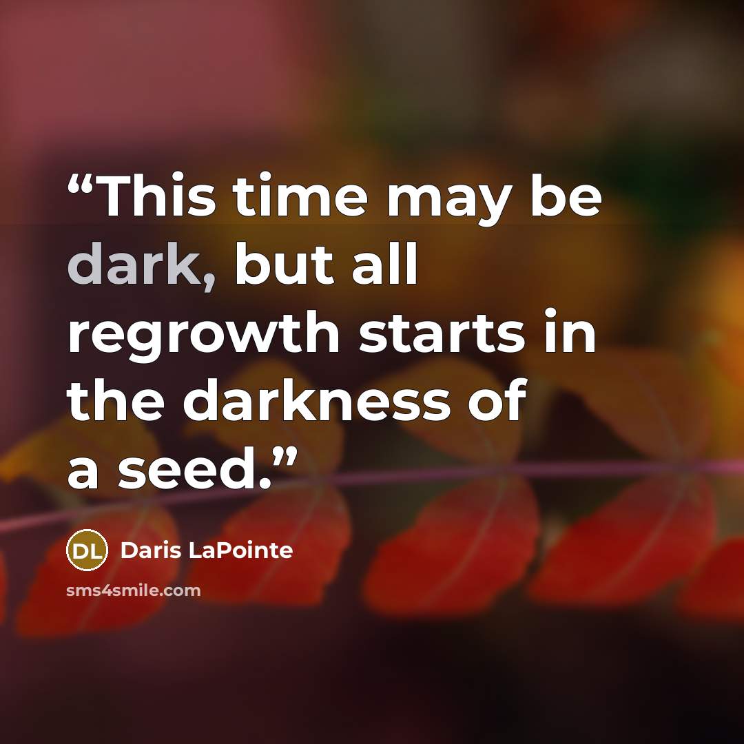 “This time may be dark, but all regrowth starts in the darkness of a seed.” quote by Daris LaPointe