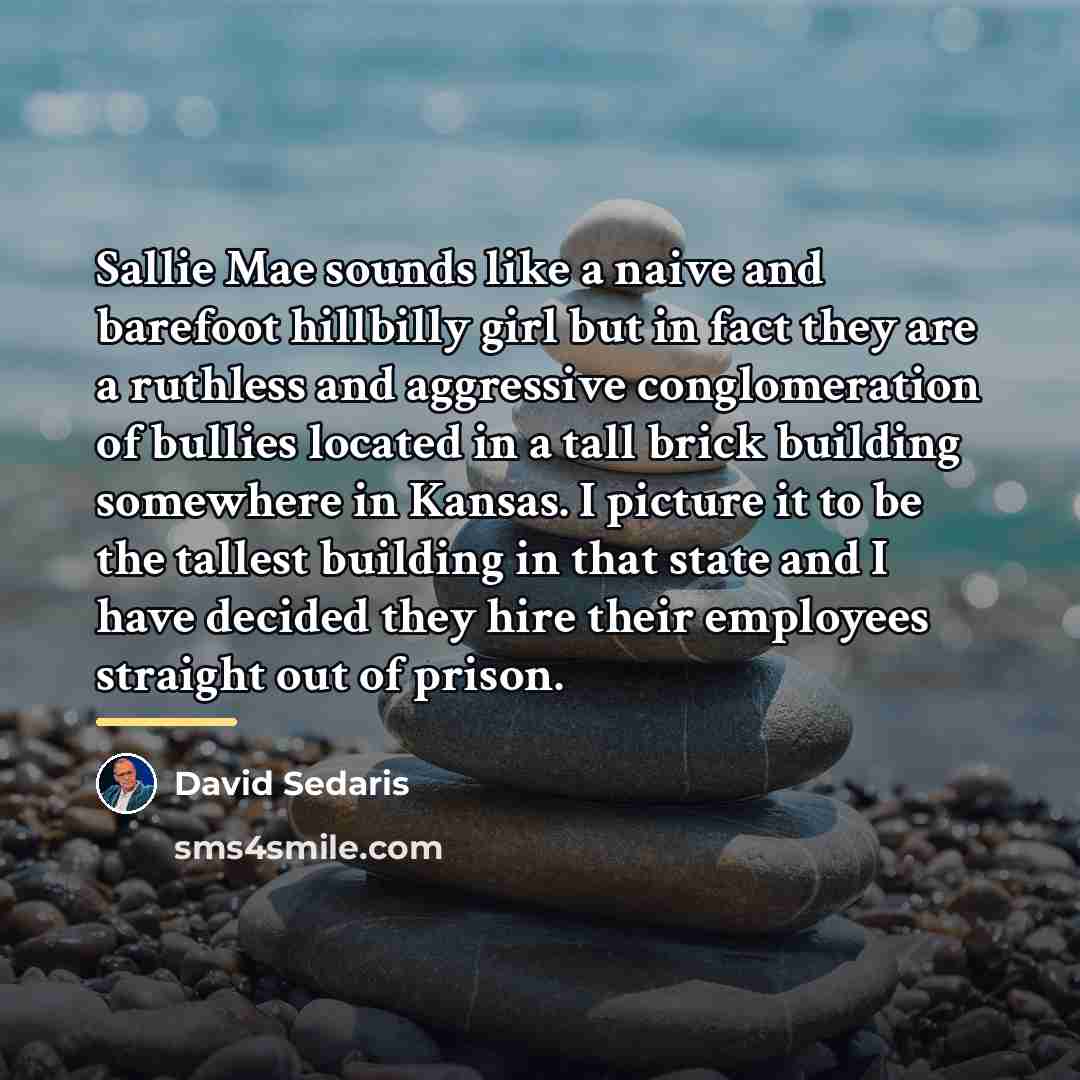 “Sallie Mae sounds like a naive and barefoot hillbilly girl…” quote by David Sedaris