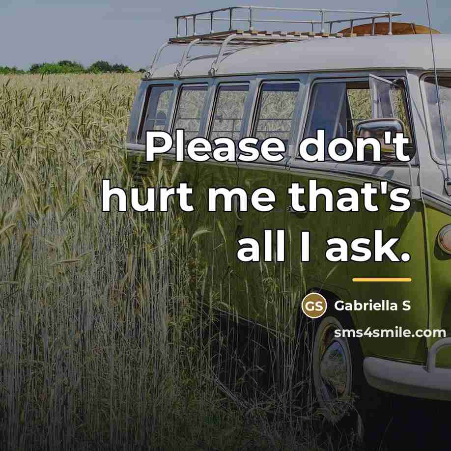 “Please don't hurt me that's all I ask.…” quote by gabriella S
