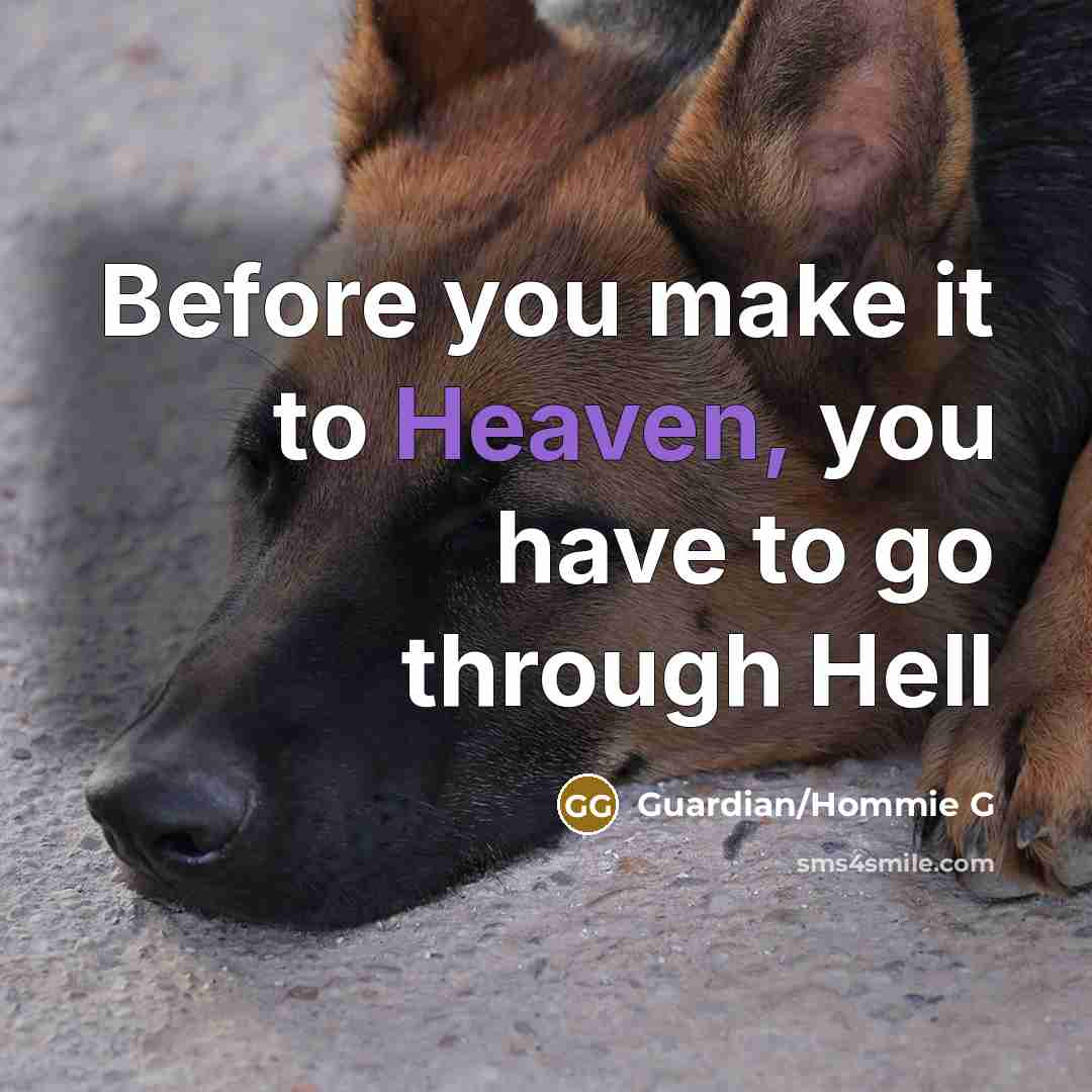 “Before you make it to Heaven, you have to go…” quote by Guardian/Hommie G