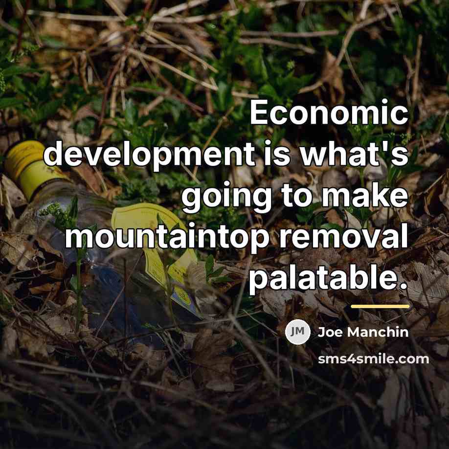 “Economic development is what's going to make mountaintop removal palatable.…” quote by Joe Manchin