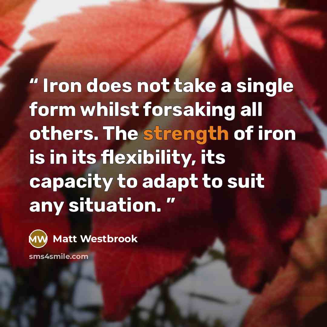 “Iron does not take a single form whilst forsaking all others. The strength of iron is in its flexibility, its capacity to adapt to suit any situation.” quote by Matt Westbrook