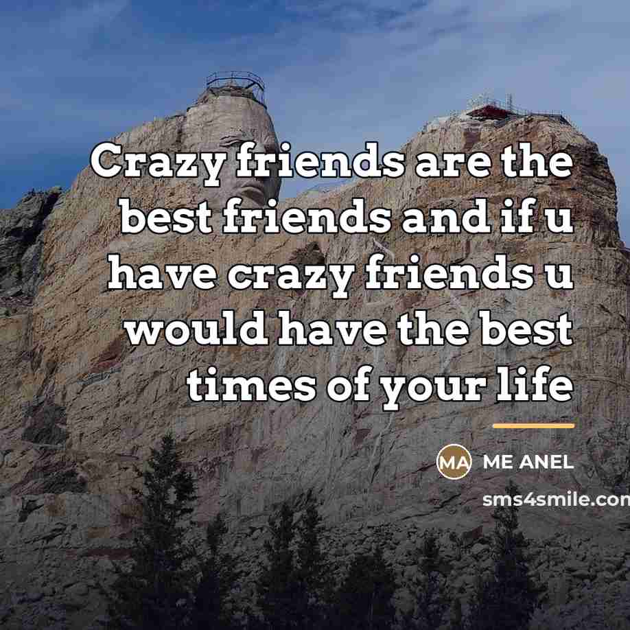 “Crazy friends are the best friends and if u have…” quote by Me Anel