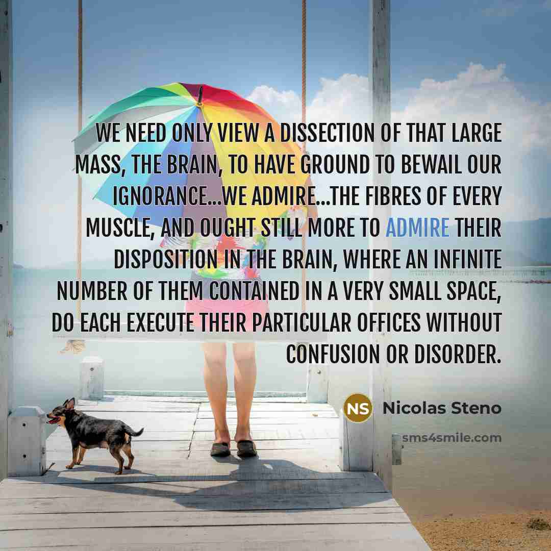 “We need only view a Dissection of that large Mass,…” quote by Nicolas Steno