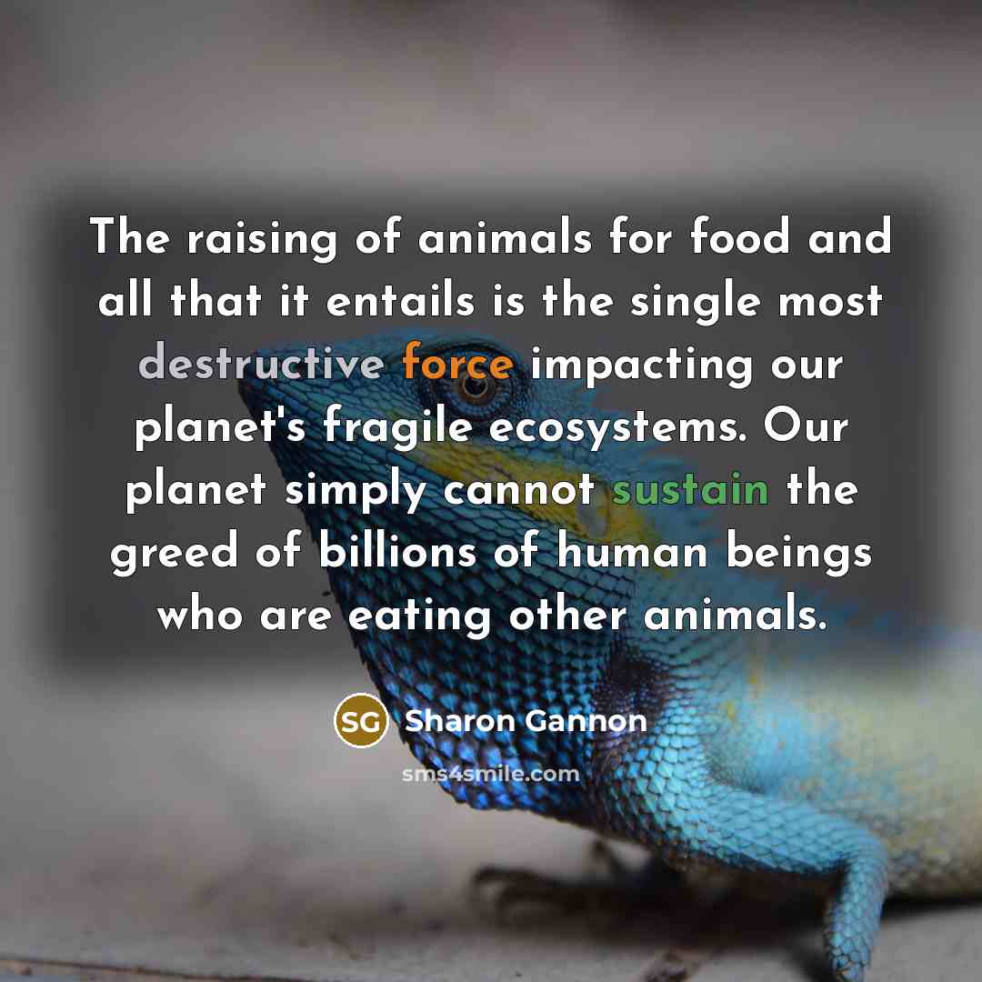 “The raising of animals for food and all that it…” quote by Sharon Gannon