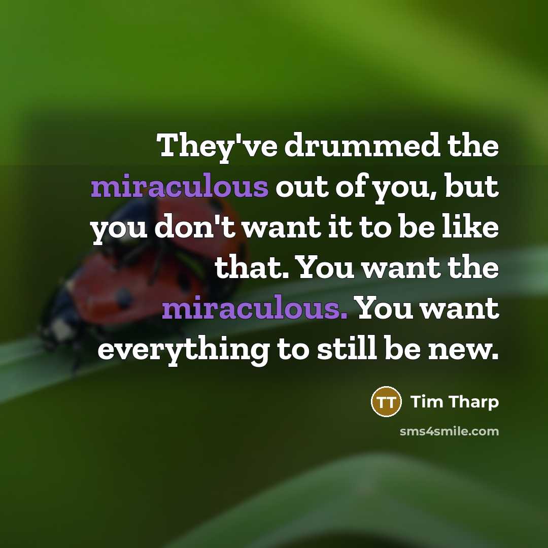 “They've drummed the miraculous out of you, but you don't…” quote by Tim Tharp
