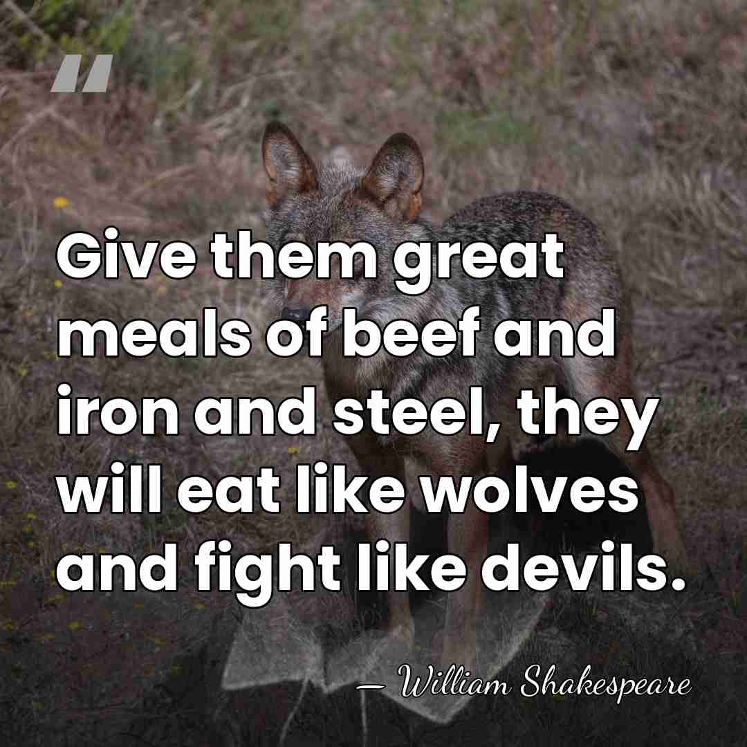 Give them great meals of beef and iron and steel, they will&hellip; - William Shakespeare