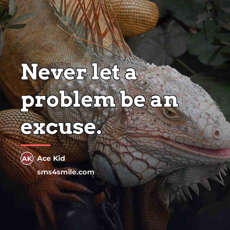“Never let a problem be an excuse.…” quote by Ace Kid