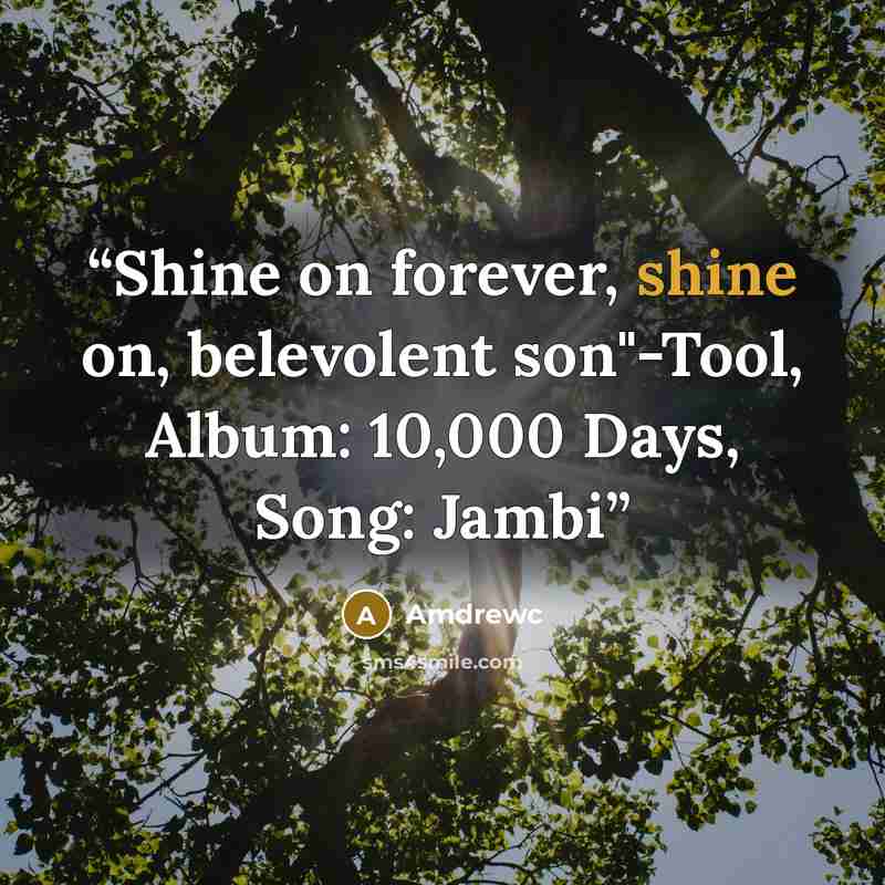 “Shine on forever, shine on, belevolent son"-Tool, Album: 10,000 Days, Song: Jambi” quote by Amdrewc