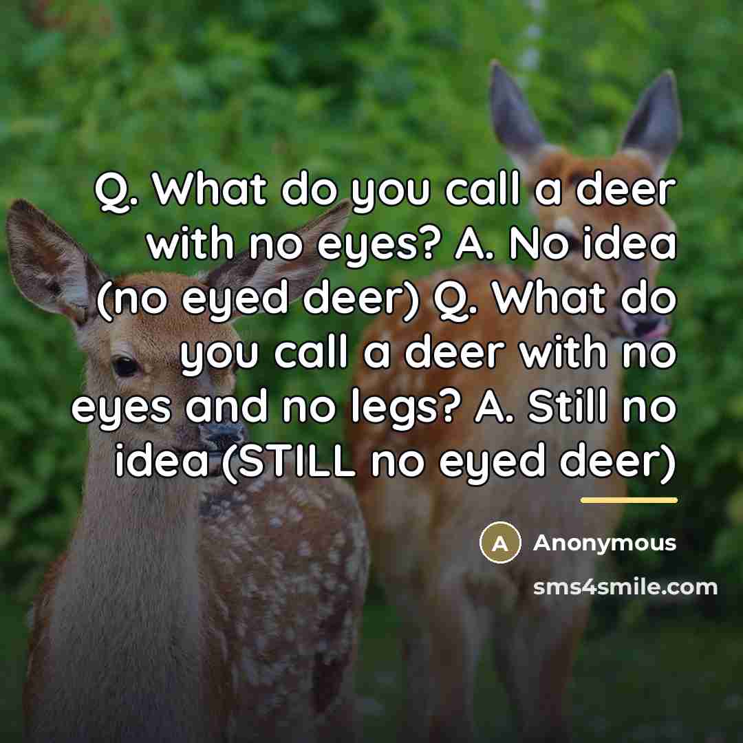 “Q. What do you call a deer with no eyes?…” quote by Anonymous