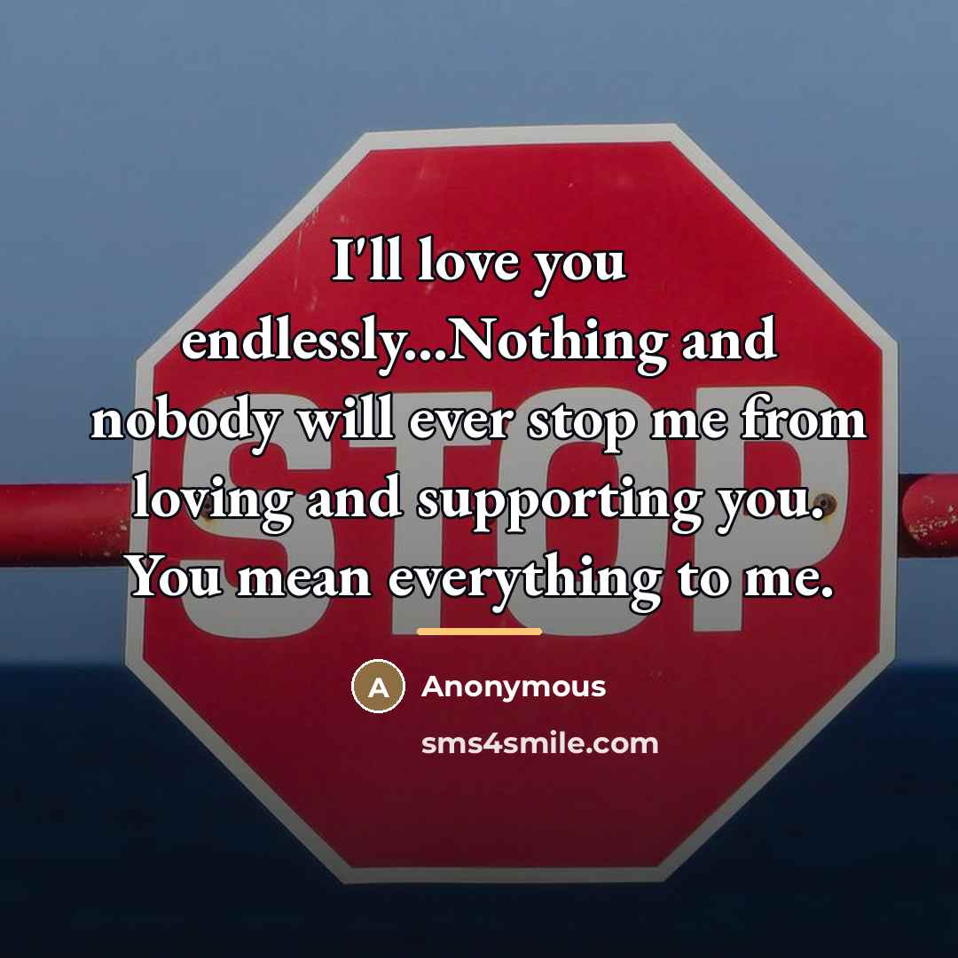 “I'll love you endlessly...Nothing and nobody will ever stop me…” quote by Anonymous