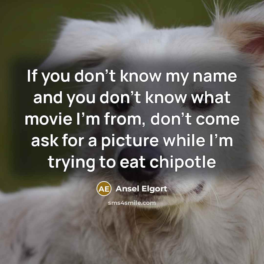 “If you don't know my name and you don't know…” quote by Ansel Elgort