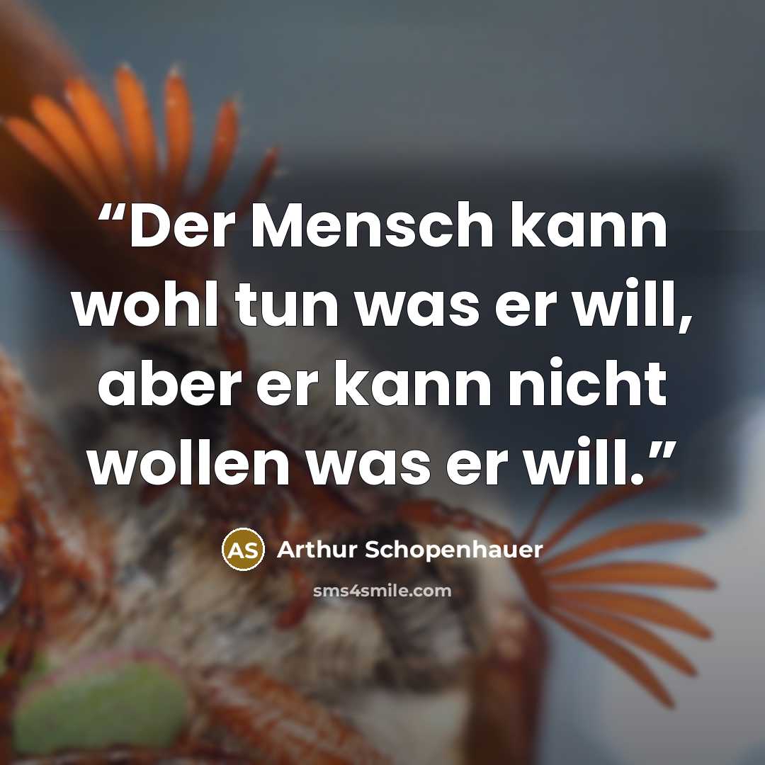 “Der Mensch kann wohl tun was er will, aber er kann nicht wollen was er will.” quote by Arthur Schopenhauer