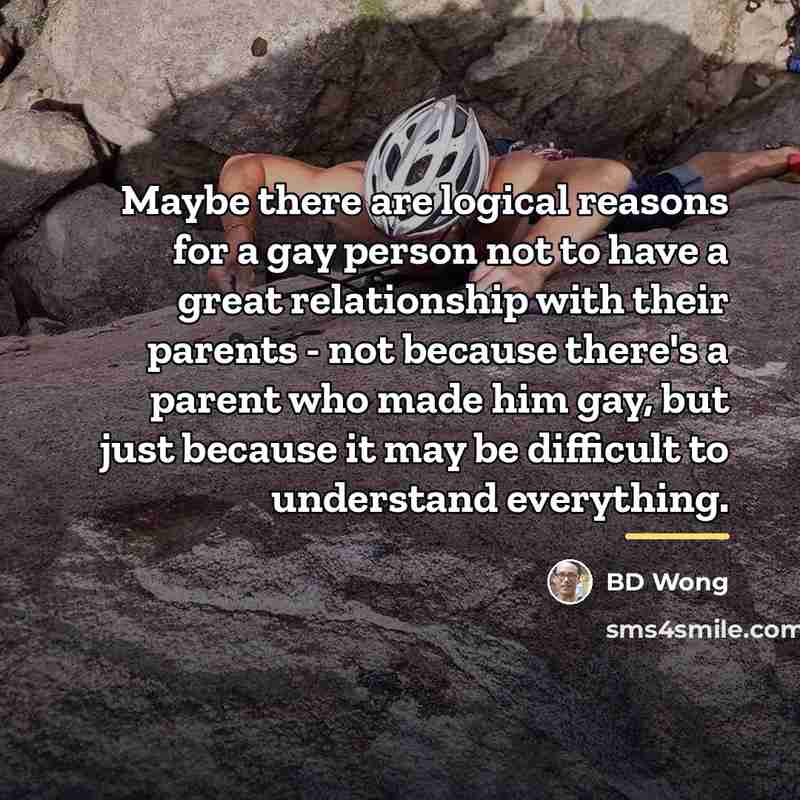 “Maybe there are logical reasons for a gay person not…” quote by BD Wong