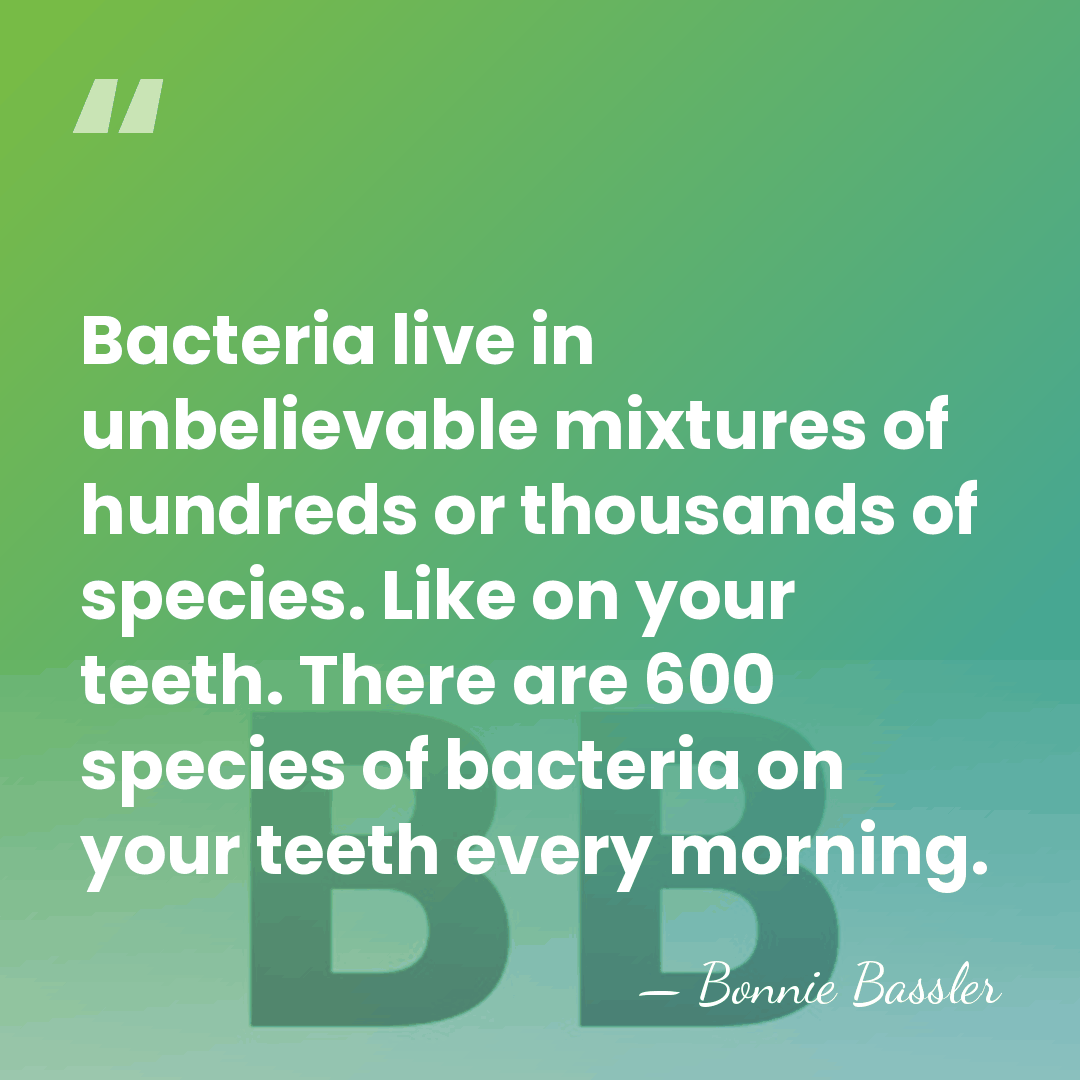 Bacteria live in unbelievable mixtures of hundreds or thousands of species. Like&hellip; - Bonnie Bassler