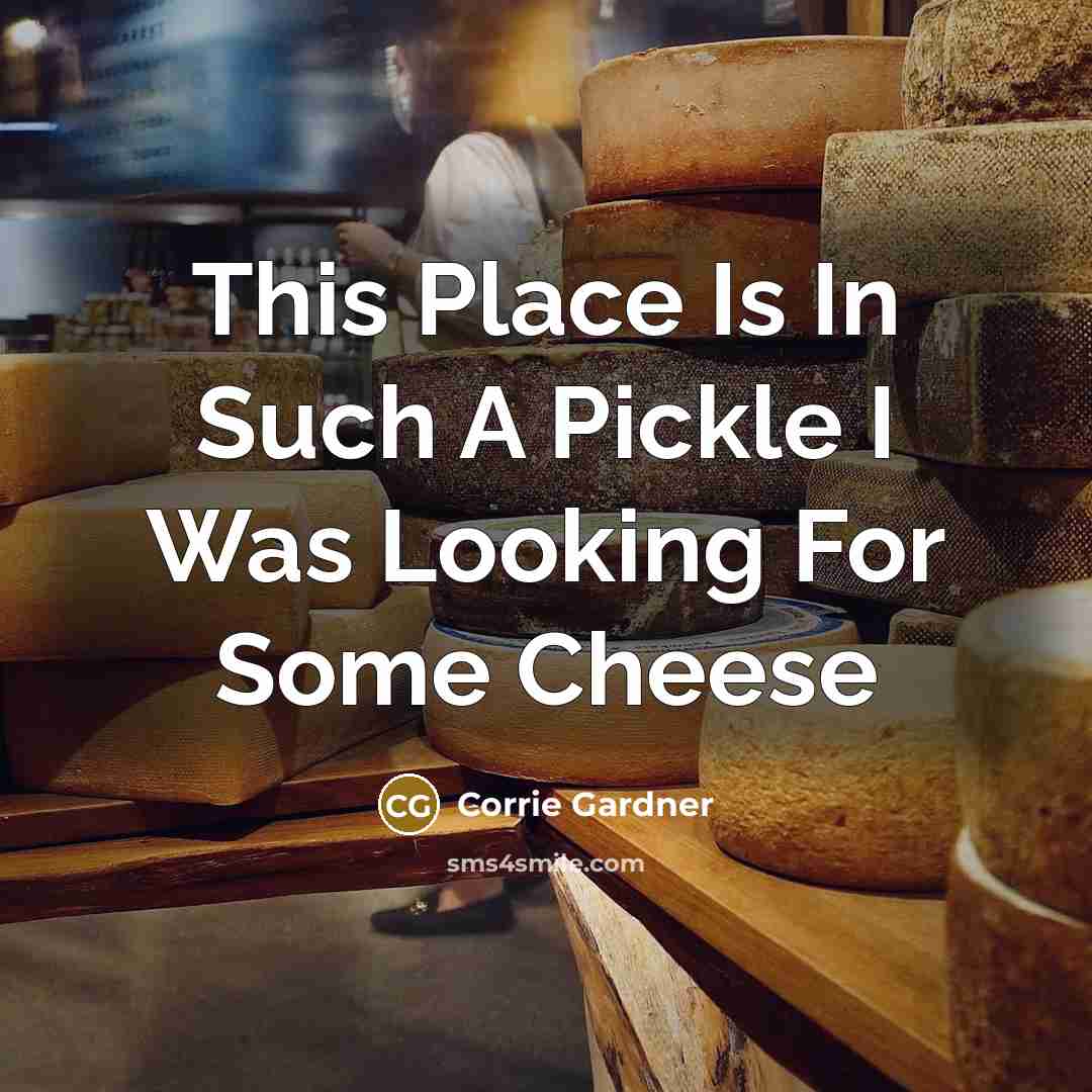 “This Place Is In Such A Pickle I Was Looking…” quote by Corrie Gardner