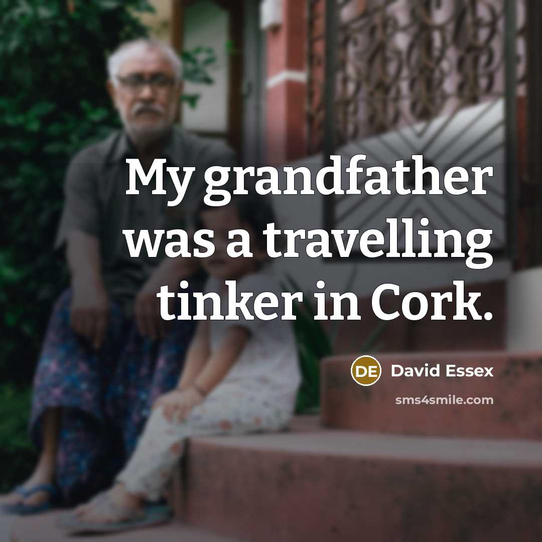 “My grandfather was a travelling tinker in Cork.…” quote by David Essex