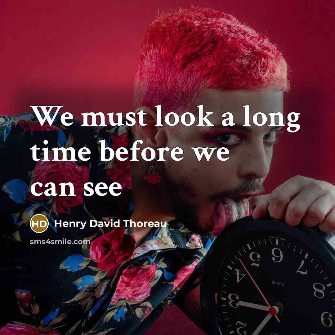 “We must look a long time before we can see…” quote by Henry David Thoreau