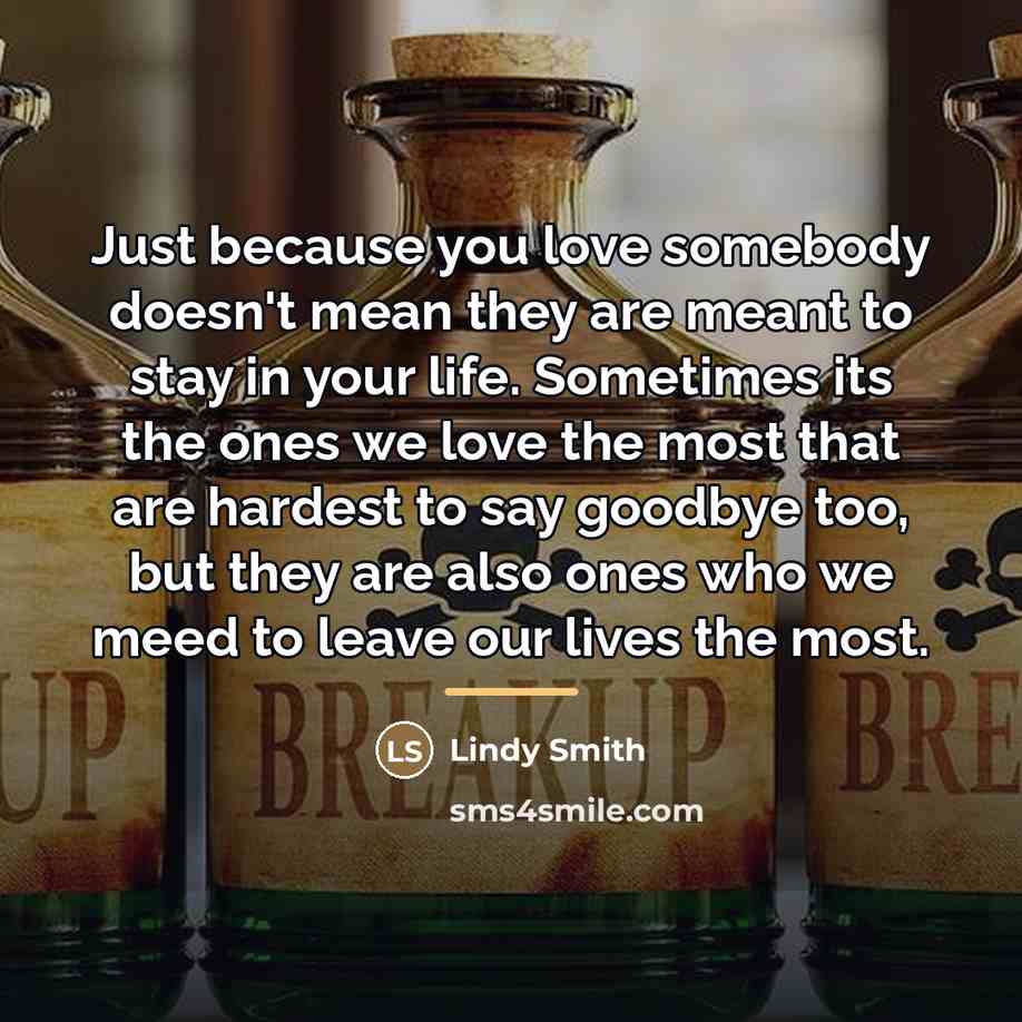 “Just because you love somebody doesn't mean they are meant…” quote by Lindy Smith