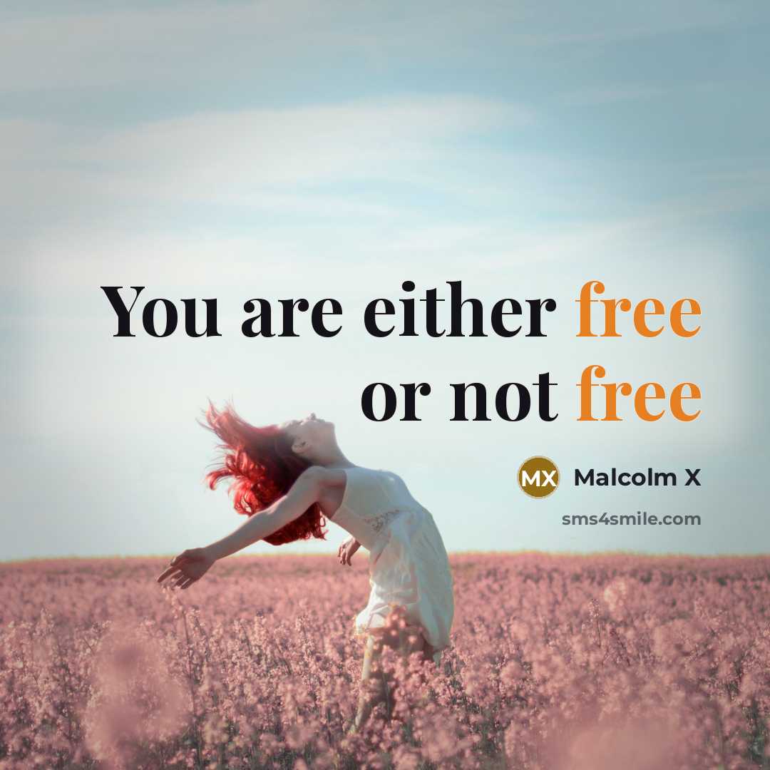 “You are either free or not free” quote by Malcolm X