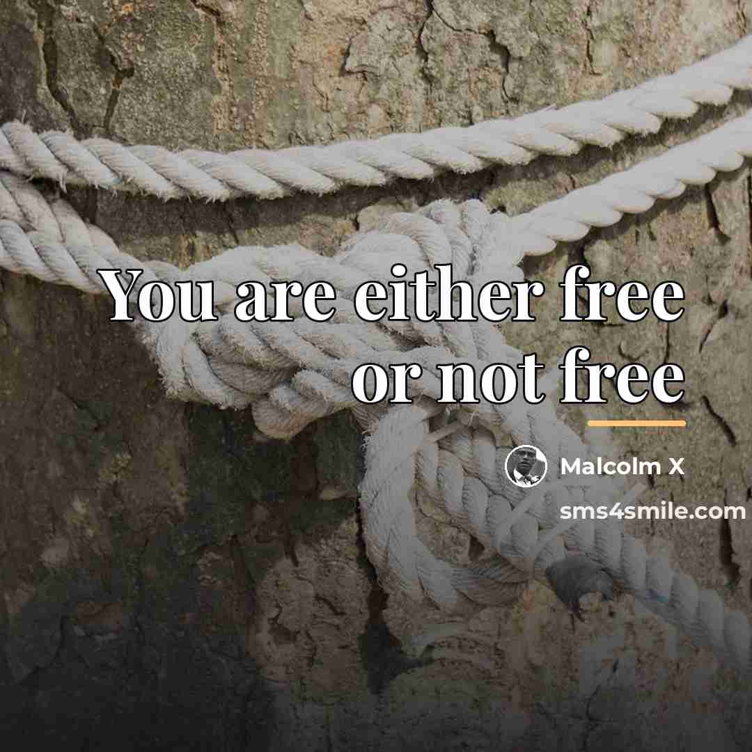 “You are either free or not free…” quote by Malcolm X