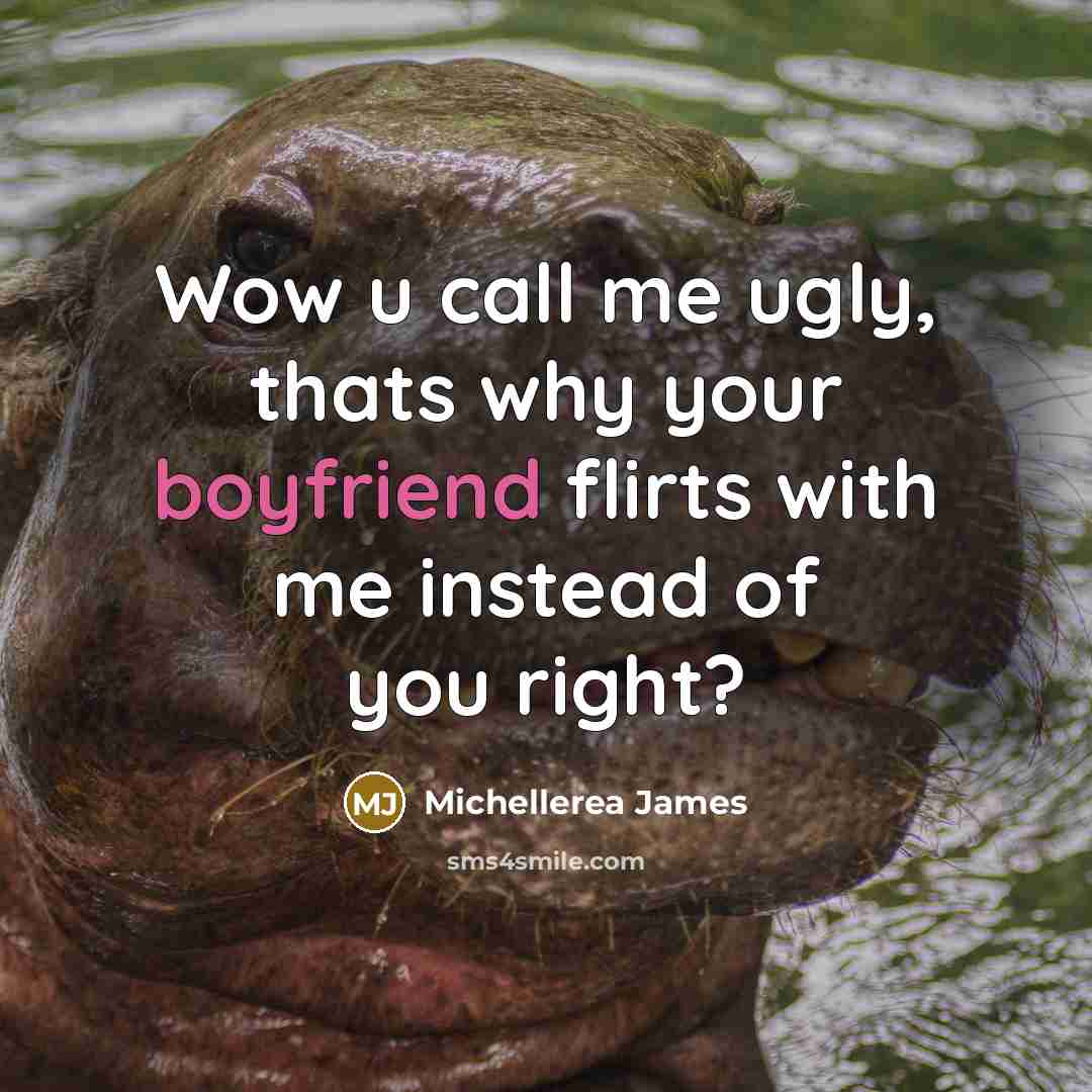 “Wow u call me ugly, thats why your boyfriend flirts with me instead of you right?” quote by Michellerea James