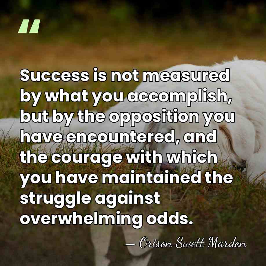 Success is not measured by what you accomplish, but by the opposition&hellip; - Orison Swett Marden