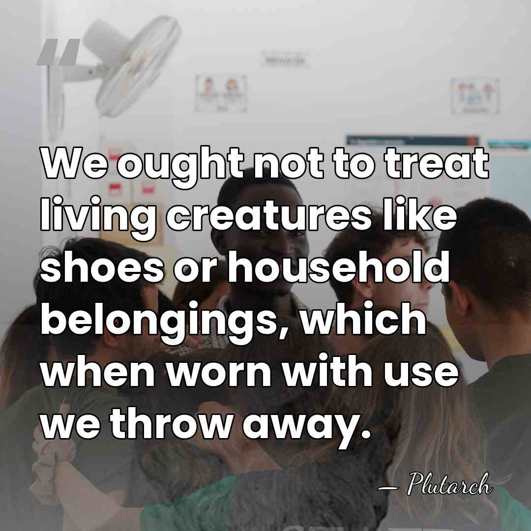 We ought not to treat living creatures like shoes or household belongings,&hellip; - Plutarch