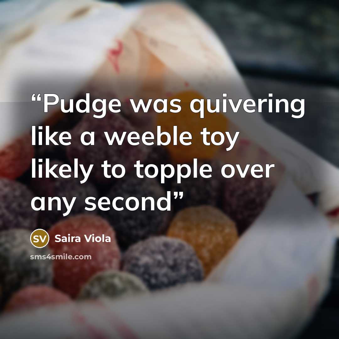 “Pudge was quivering like a weeble toy likely to topple over any second” quote by Saira Viola