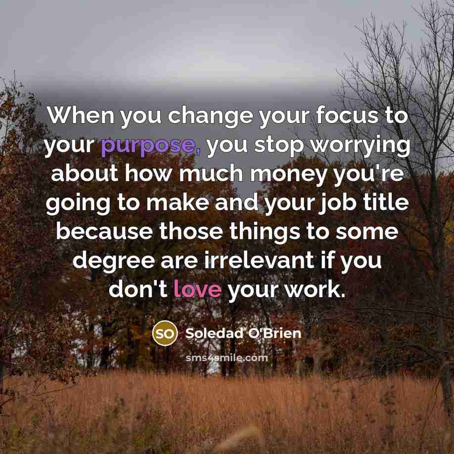 “When you change your focus to your purpose, you stop worrying about how much money you're going to make and your job title because those things to some degree are irrelevant if you don't love your work.” quote by Soledad O'Brien