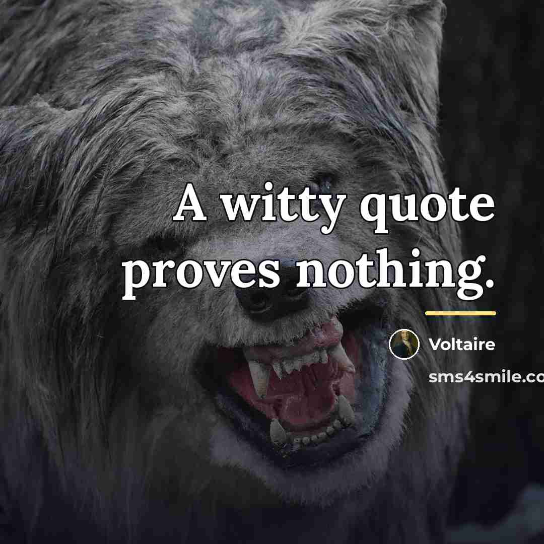 “A witty quote proves nothing.…” quote by Voltaire