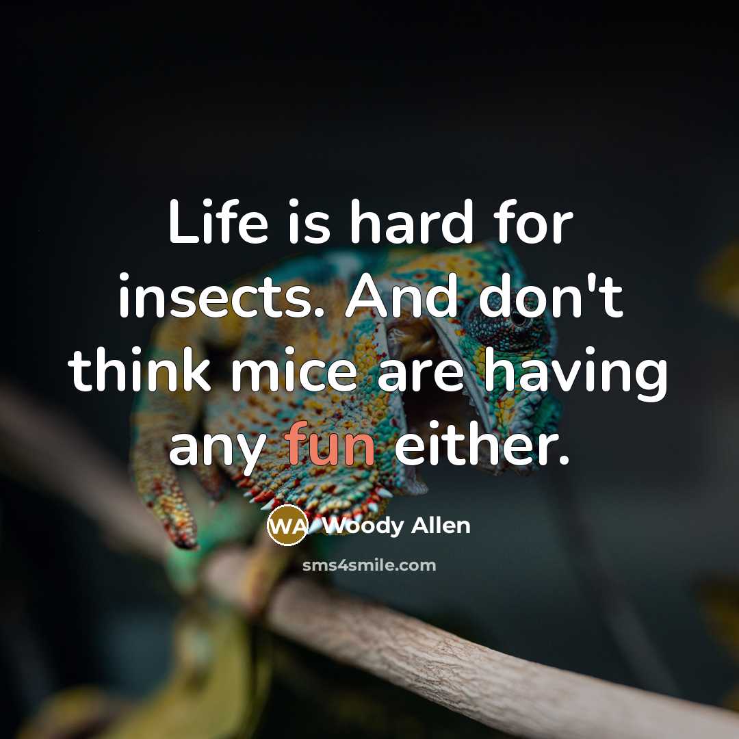 “Life is hard for insects. And don't think mice are having any fun either.” quote by Woody Allen