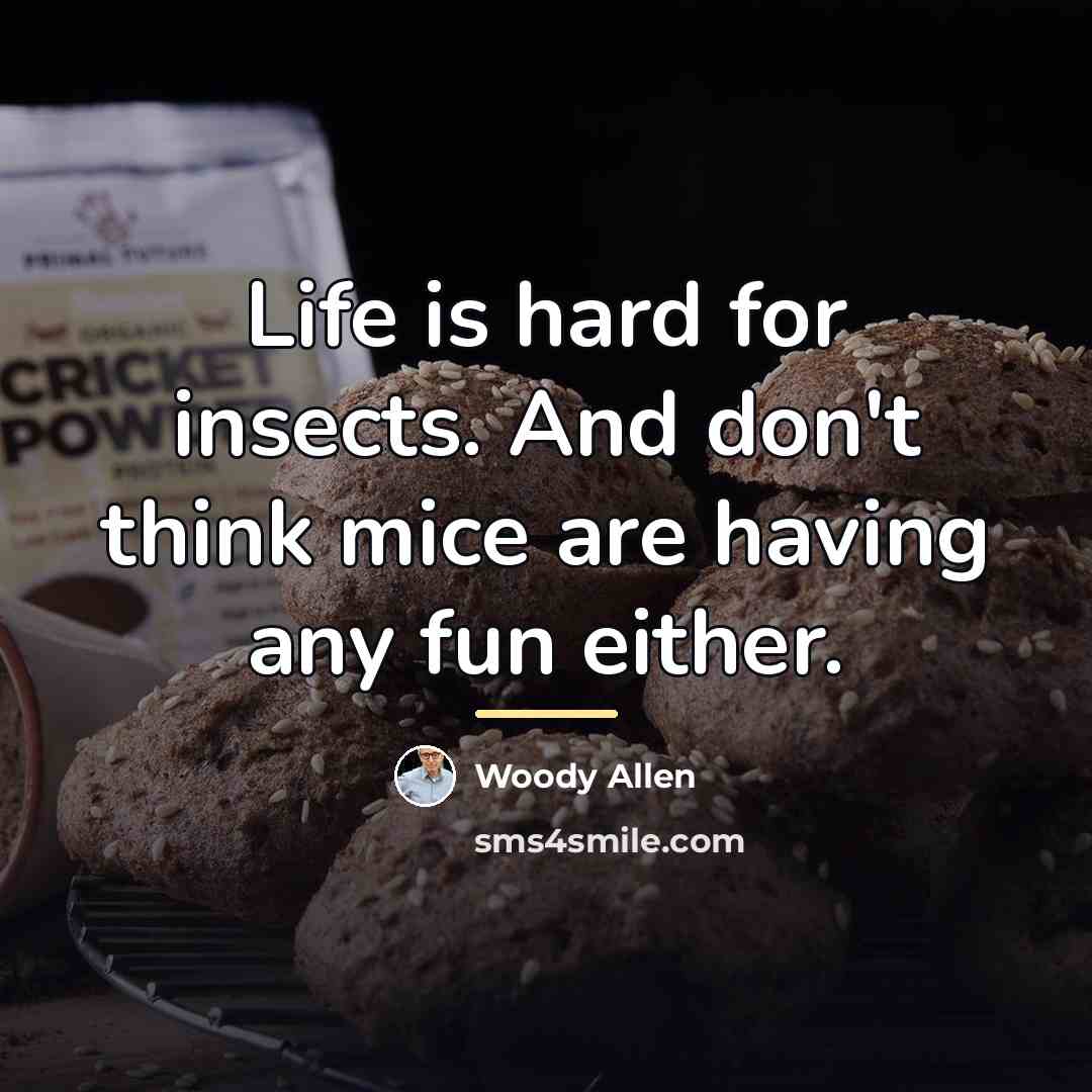 “Life is hard for insects. And don't think mice are…” quote by Woody Allen