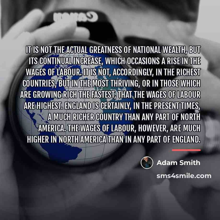 “It is not the actual greatness of national wealth, but…” quote by Adam Smith