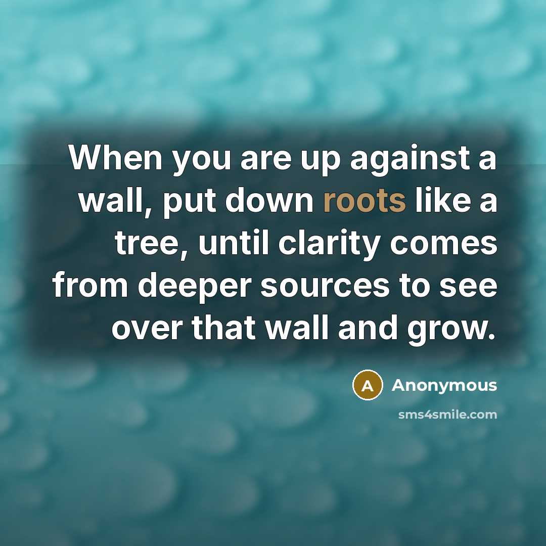 “When you are up against a wall, put down roots…” quote by Anonymous