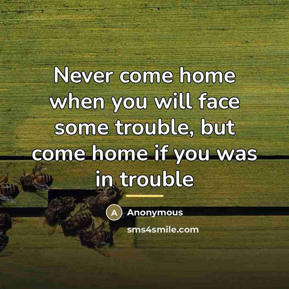 “Never come home when you will face some trouble, but…” quote by Anonymous